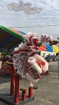 動土表演